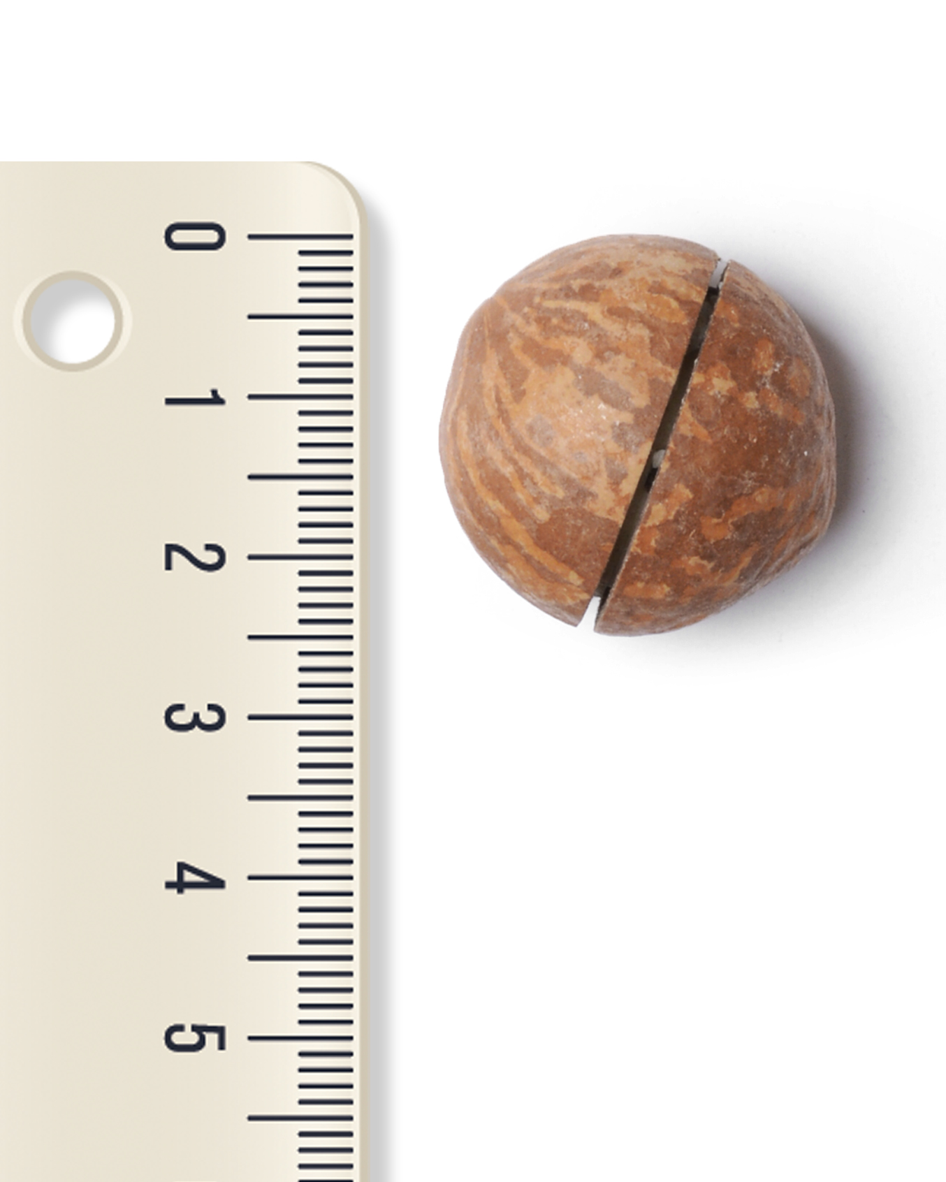 فندق قرمز - Image 4